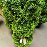 Artifeign - 35" Crafted Bunny Topiary