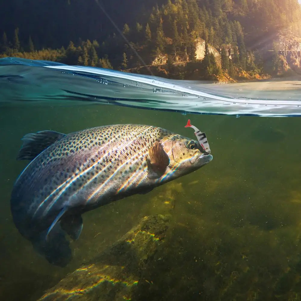 BassPro - Lifelike Fishing Lure