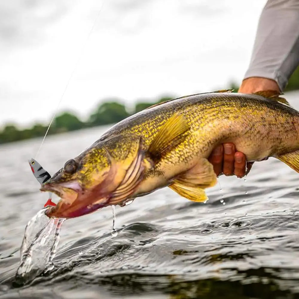 BassPro - Lifelike Fishing Lure