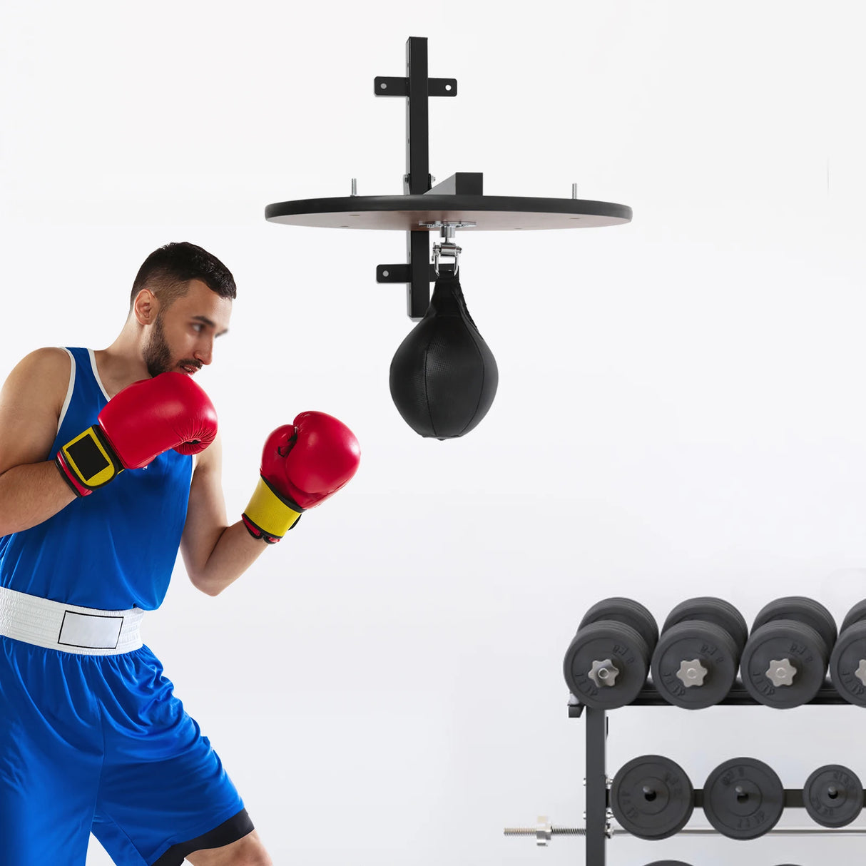 PunchPro - Rotatable Speed Bag Kit