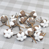 Jusflora - Artificial Kapok Natural Dried Flowers (12pcs)